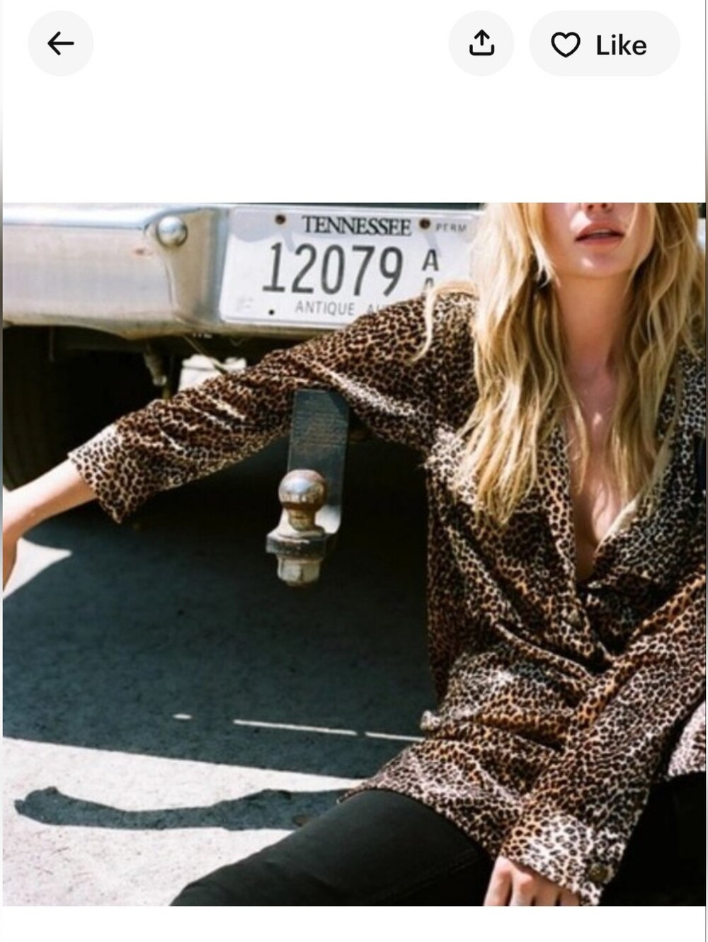 The Kooples Leopard-Print Velvet Button Blouse — Brown